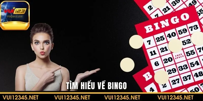 Tìm hiểu về Bingo giúp bạn có thêm trải nghiệm giải trí thú vị