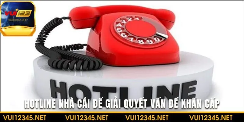 Hotline nhà cái luôn túc trực để giải quyết vấn đề khẩn cấp