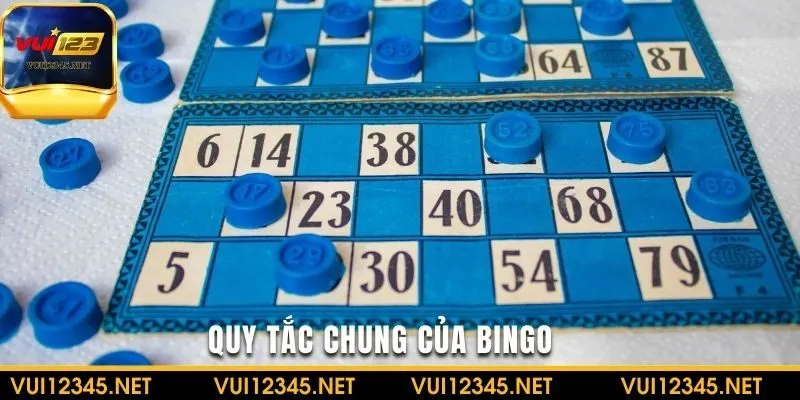 Nắm bắt quy tắc chung của Bingo Club tại VUI123